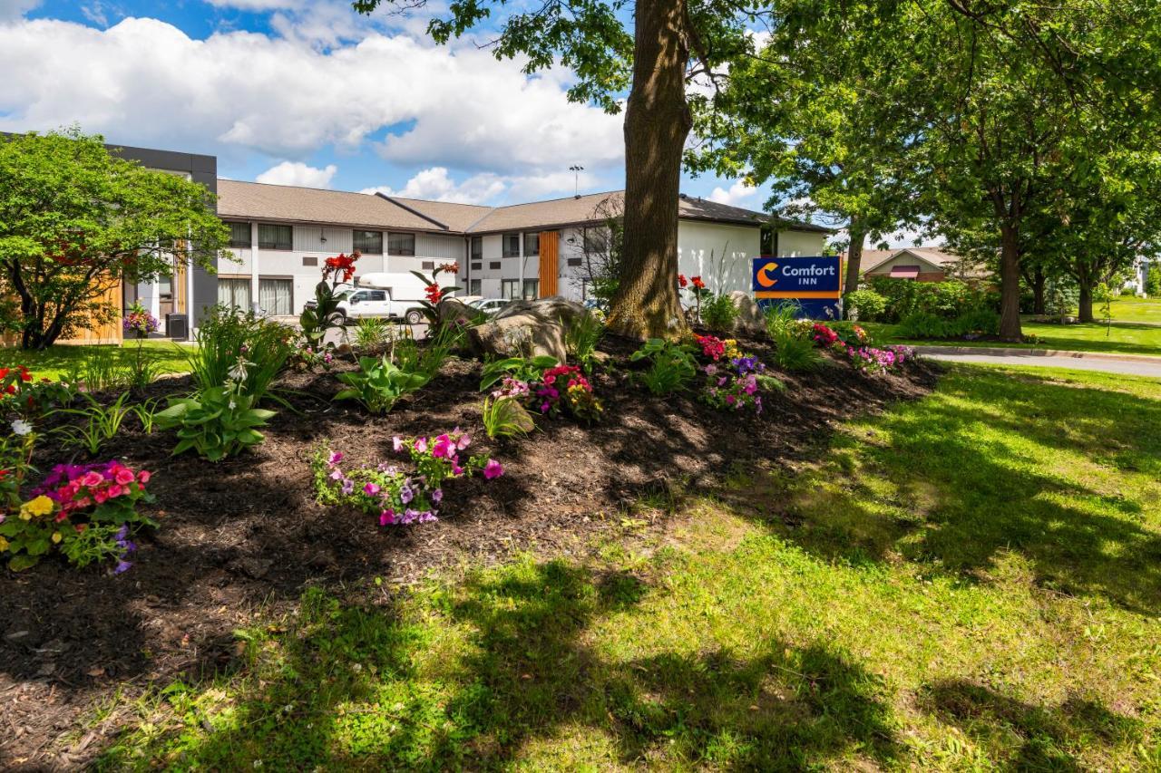 Comfort Inn West Ottawa Extérieur photo